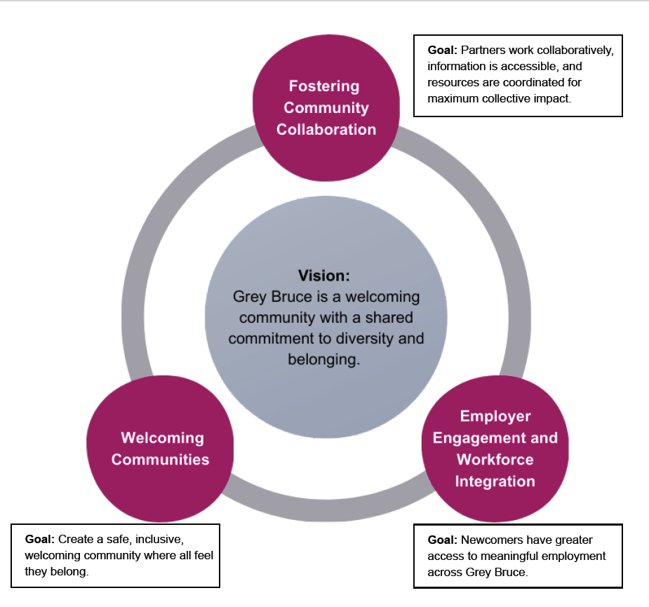 community action plan strategic priorities chart features plan vision in large grey circle and priorities in surrounding small purple circles